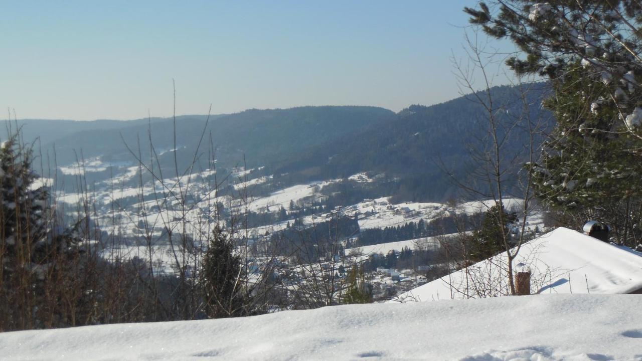 Chalet Luxe 12 Personnes Spa Sauna Vosges-Gerardmer 勒索里 外观 照片